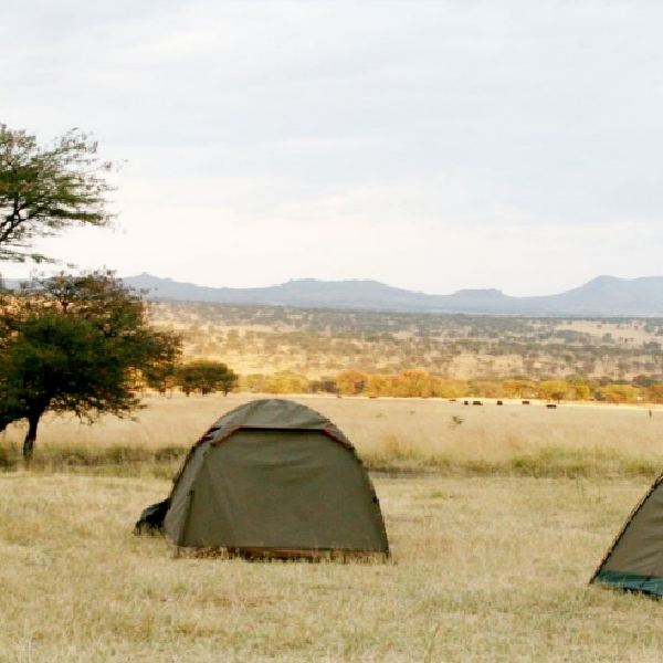 8 DAYS COMBINED KENYA & TANZANIA BUDGET SAFARI